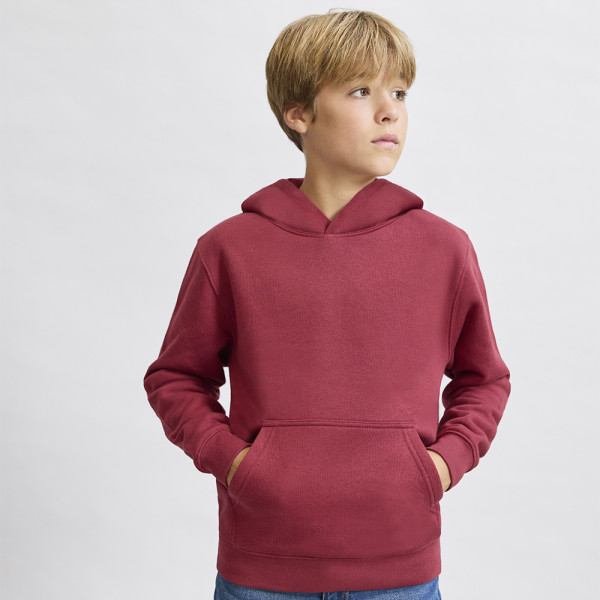 Kids Sweatshirt Draco