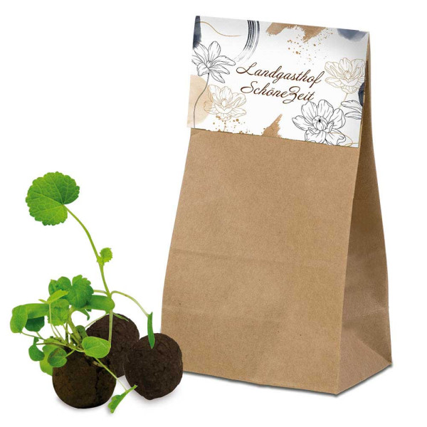 Flower-Balls in bag with seeds
