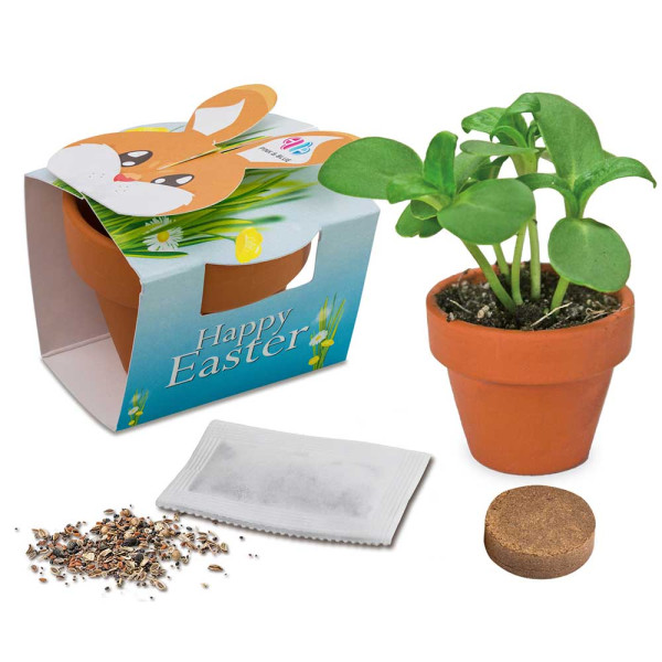 Mini plant-pot bunny with seeds