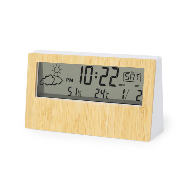 Weather Station Roamer