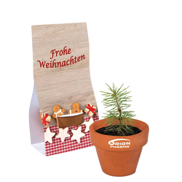 Mini logo-pot handover packaging with seeds
