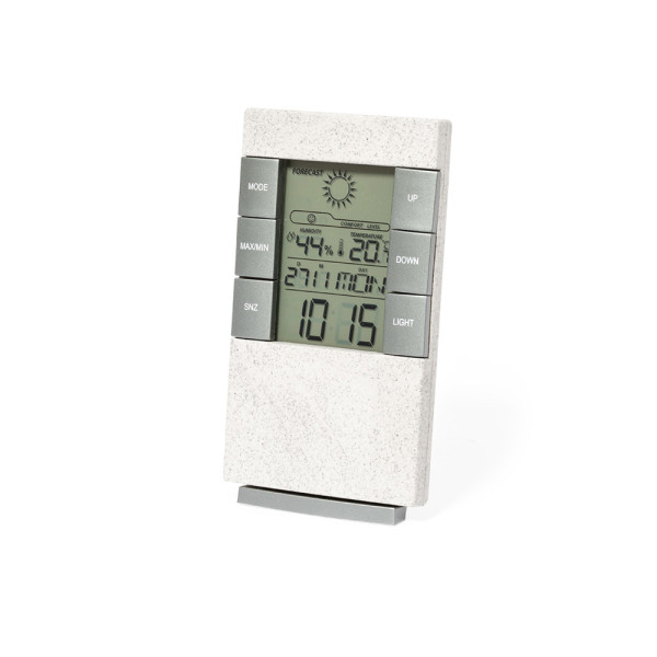 Weather Station Maginly