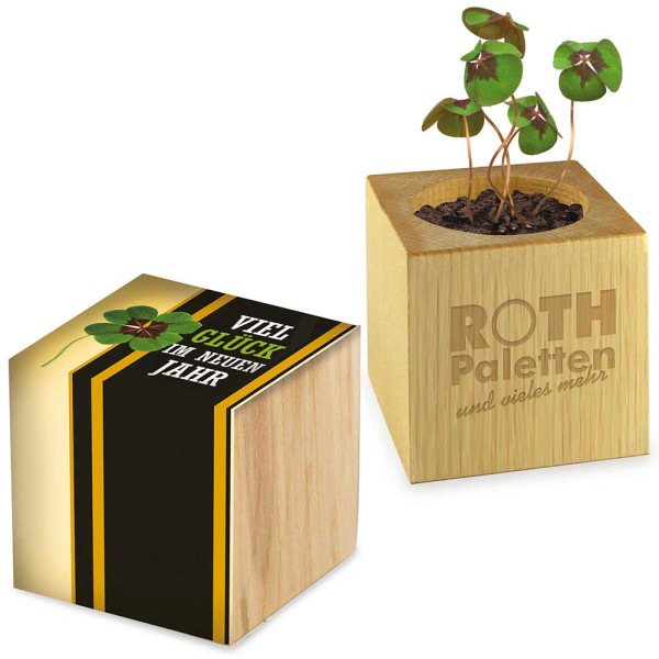 Plant-wood with lucky clover - standard design